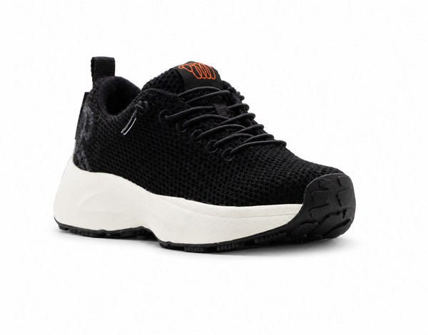 Coogee Gt Face Merino Wool Sneaker main image