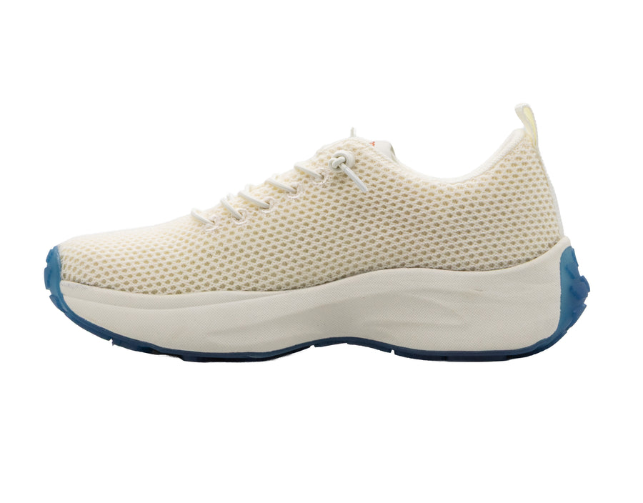 Coogee Gt Face Merino Wool Sneaker