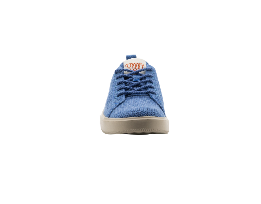 Paddo Lace Merino Wool Sneaker