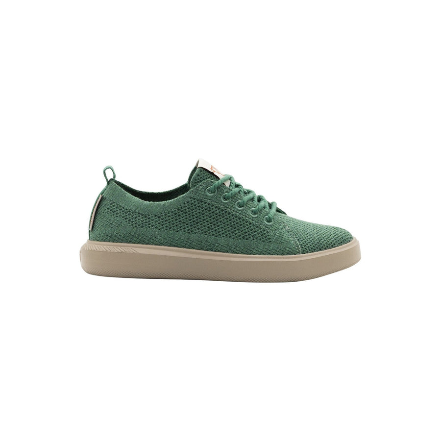 Paddo Lace Merino Wool Sneaker