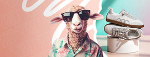 Sheep wearing sunglasses and a floral shirt with sneakers on a colorful background