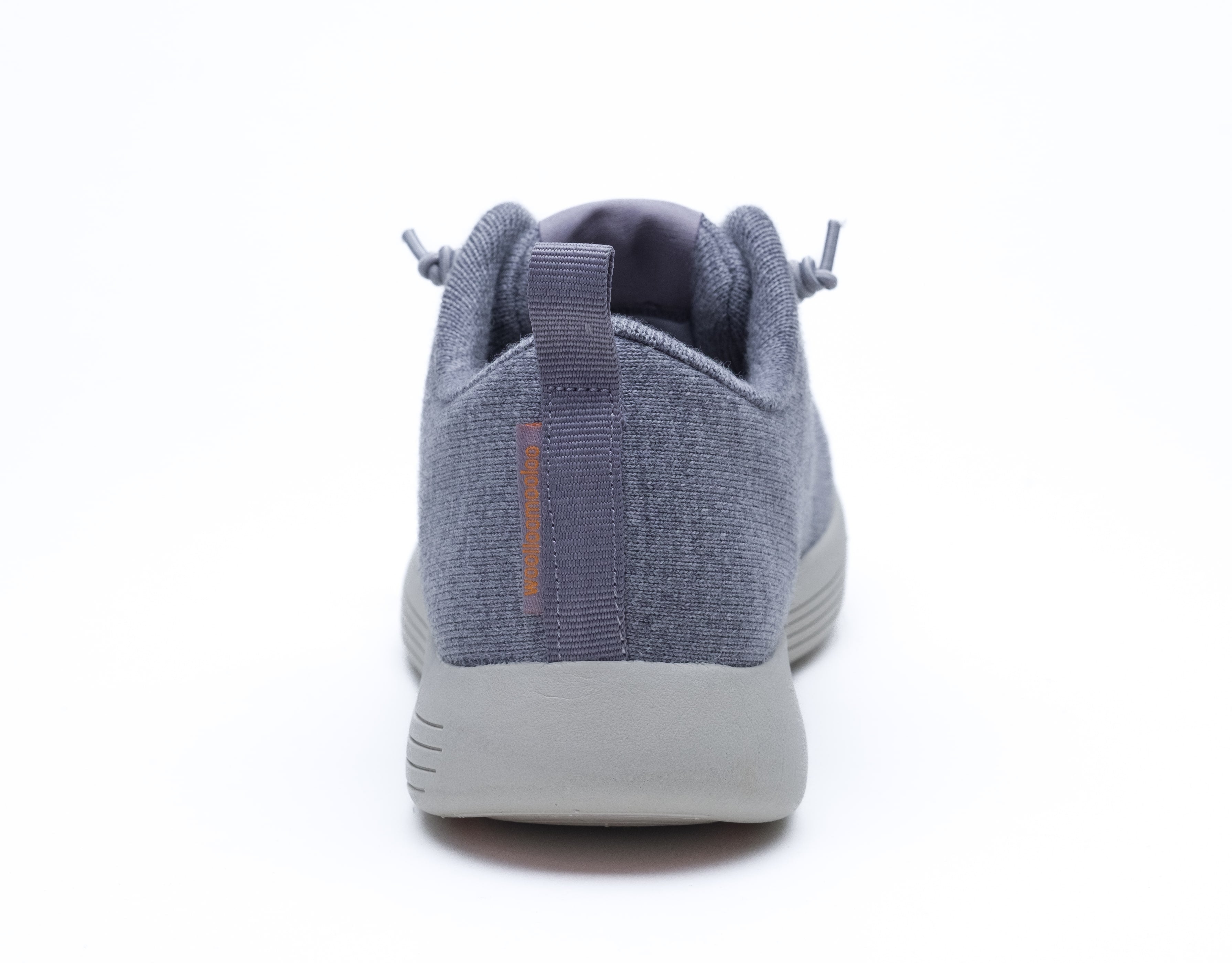 Cheviot-grey-back