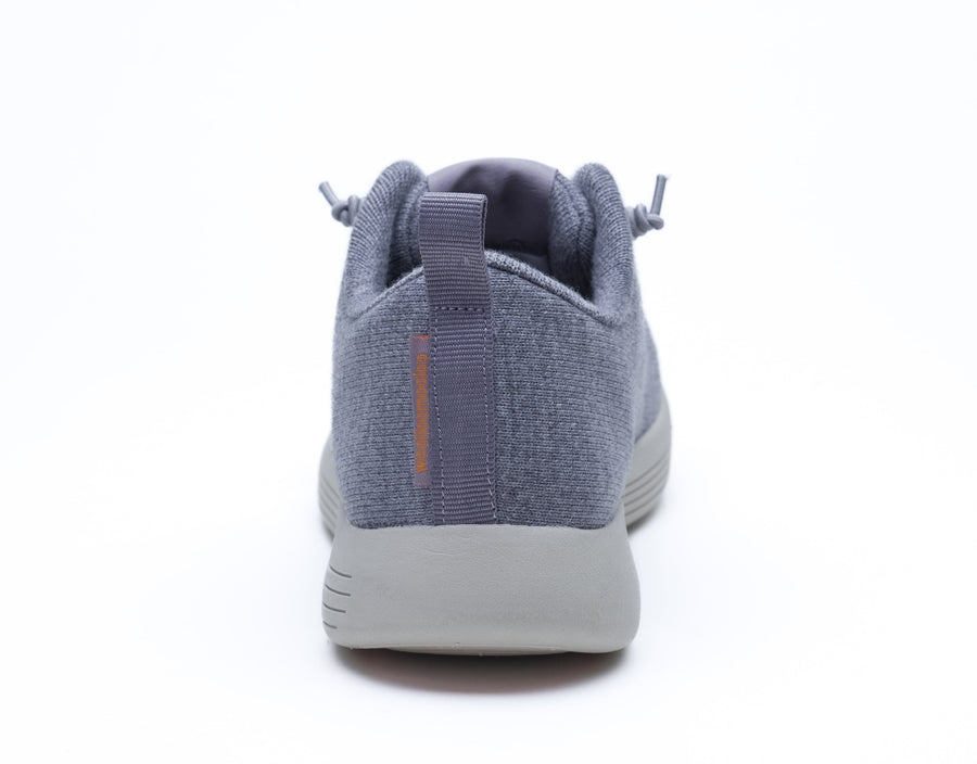 Cheviot-grey-back